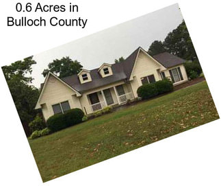 0.6 Acres in Bulloch County