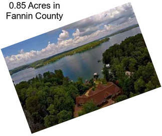 0.85 Acres in Fannin County