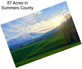 87 Acres in Summers County