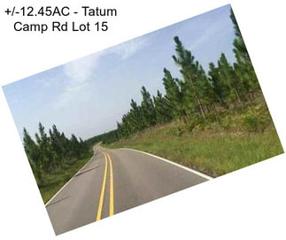 +/-12.45AC - Tatum Camp Rd Lot 15