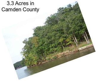 3.3 Acres in Camden County