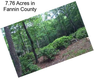 7.76 Acres in Fannin County
