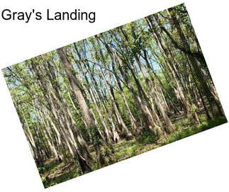 Gray\'s Landing