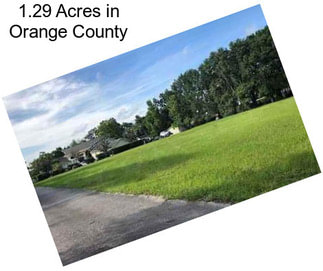 1.29 Acres in Orange County