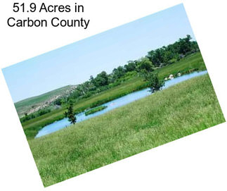 51.9 Acres in Carbon County