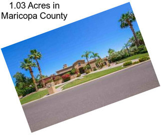 1.03 Acres in Maricopa County