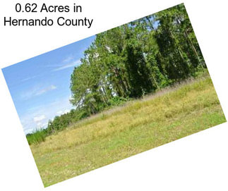 0.62 Acres in Hernando County