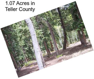 1.07 Acres in Teller County