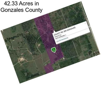 42.33 Acres in Gonzales County