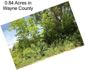 0.84 Acres in Wayne County