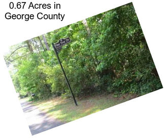 0.67 Acres in George County