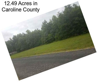 12.49 Acres in Caroline County