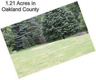 1.21 Acres in Oakland County