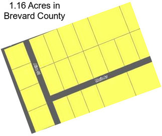 1.16 Acres in Brevard County