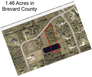 1.46 Acres in Brevard County