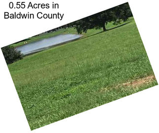 0.55 Acres in Baldwin County
