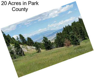 20 Acres in Park County