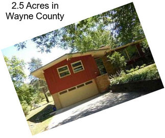 2.5 Acres in Wayne County