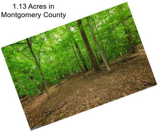 1.13 Acres in Montgomery County