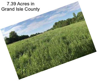 7.39 Acres in Grand Isle County