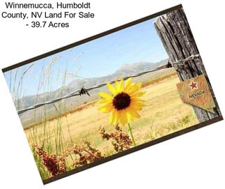 Winnemucca, Humboldt County, NV Land For Sale - 39.7 Acres