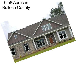 0.58 Acres in Bulloch County