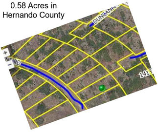0.58 Acres in Hernando County