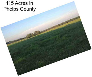 115 Acres in Phelps County