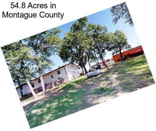 54.8 Acres in Montague County