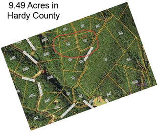 9.49 Acres in Hardy County