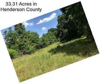 33.31 Acres in Henderson County