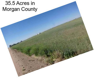 35.5 Acres in Morgan County