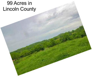 99 Acres in Lincoln County