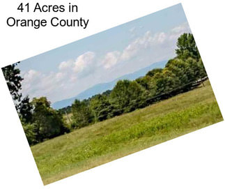 41 Acres in Orange County