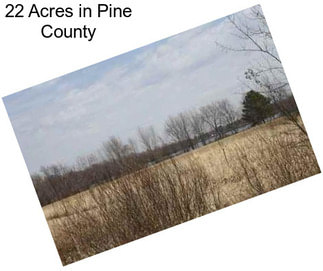 22 Acres in Pine County