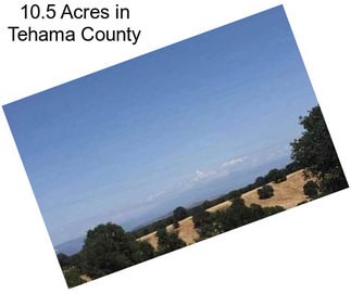 10.5 Acres in Tehama County