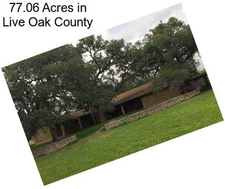 77.06 Acres in Live Oak County