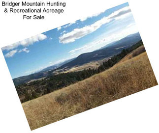 Bridger Mountain Hunting & Recreational Acreage For Sale