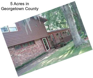 5 Acres in Georgetown County