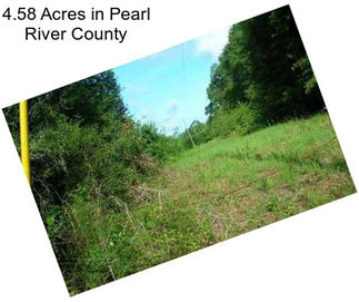 4.58 Acres in Pearl River County