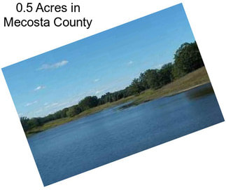 0.5 Acres in Mecosta County