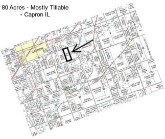 80 Acres - Mostly Tillable - Capron IL