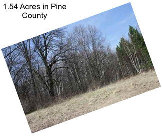 1.54 Acres in Pine County