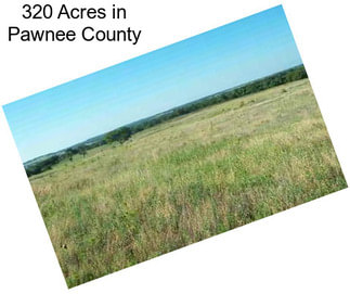 320 Acres in Pawnee County