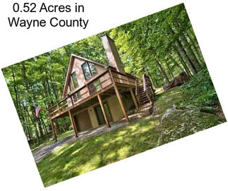 0.52 Acres in Wayne County