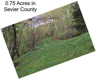 0.75 Acres in Sevier County