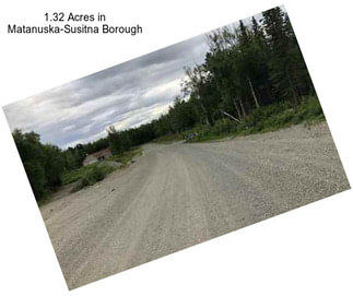 1.32 Acres in Matanuska-Susitna Borough