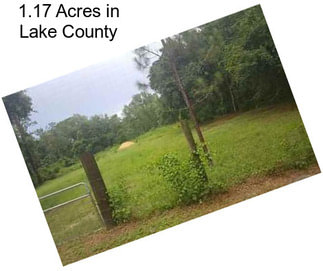 1.17 Acres in Lake County