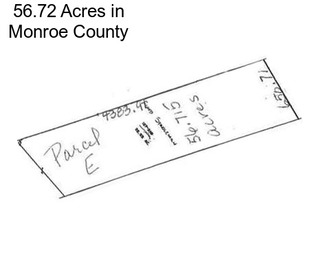56.72 Acres in Monroe County