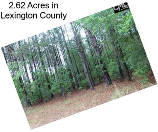 2.62 Acres in Lexington County